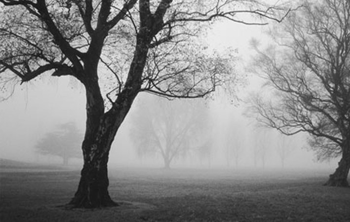 Plantas Termosolares